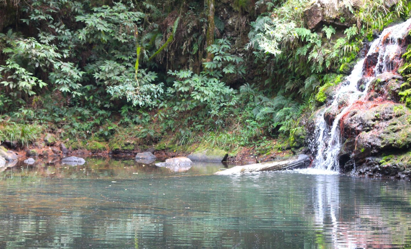 Misiones San Pedro 4